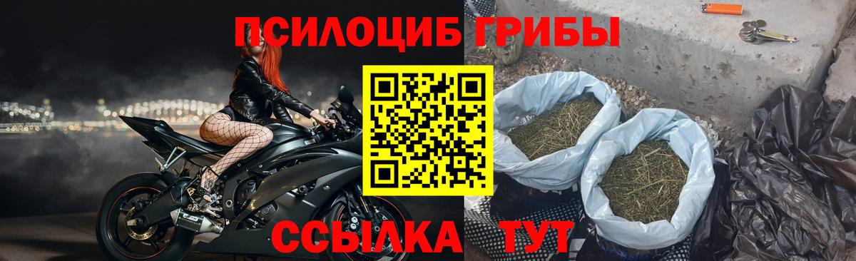 Галлюциногенные грибы GOLDEN TEACHER Мурино